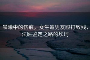 晨曦中的傷痕，女生遭男友毆打致殘，法醫(yī)鑒定之路的坎坷