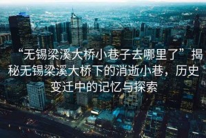 “無錫梁溪大橋小巷子去哪里了”揭秘無錫梁溪大橋下的消逝小巷，歷史變遷中的記憶與探索