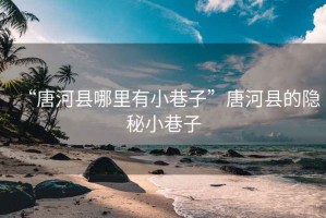 “唐河縣哪里有小巷子”唐河縣的隱秘小巷子