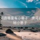 “唐河縣哪里有小巷子”唐河縣的隱秘小巷子