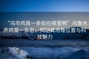 “烏市雞窩一條街在哪里啊”烏魯木齊雞窩一條街，揭秘其地理位置與科技魅力
