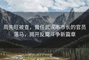 周先旺被查，曾任武漢市市長的官員落馬，揭開反腐斗爭新篇章