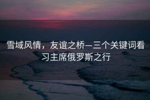 雪域風情，友誼之橋—三個關(guān)鍵詞看習主席俄羅斯之行