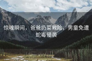 驚魂瞬間，爸爸扔菜救險，男童免遭蛇毒侵襲