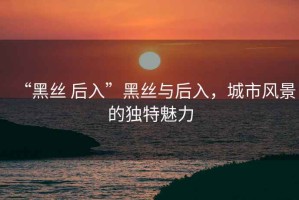 “黑絲 后入”黑絲與后入，城市風(fēng)景的獨特魅力