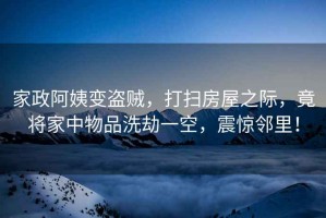 家政阿姨變盜賊，打掃房屋之際，竟將家中物品洗劫一空，震驚鄰里！