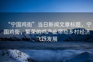 “寧國雞街”當日新聞文章標題，寧國雞街，繁榮的雞產(chǎn)業(yè)帶動鄉(xiāng)村經(jīng)濟飛躍發(fā)展