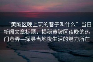 “黃陂區(qū)晚上玩的巷子叫什么”當(dāng)日新聞文章標(biāo)題，揭秘黃陂區(qū)夜晚的熱門巷弄—探尋當(dāng)?shù)匾股畹镊攘λ? title=
