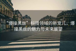 “爆操黑絲”科技領(lǐng)域的新寵兒，爆操黑絲的魅力與未來(lái)展望