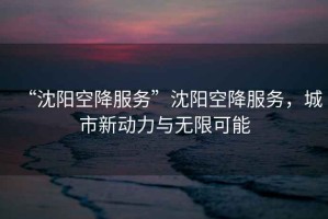 “沈陽空降服務(wù)”沈陽空降服務(wù)，城市新動(dòng)力與無限可能