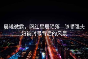 晨曦微露，網(wǎng)紅星辰隕落—滕順強夫婦被封號背后的風(fēng)景