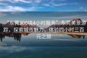 “東莞300塊4小時(shí)服務(wù)”東莞美景游蹤，探索城市魅力，體驗(yàn)四小時(shí)三百元之旅