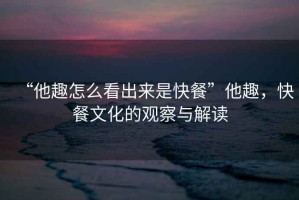 “他趣怎么看出來(lái)是快餐”他趣，快餐文化的觀(guān)察與解讀