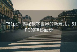 “51pc”揭秘數(shù)字世界的新寵兒，51PC的神秘面紗