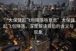 “大保健起飛包降落啥意思”大保健起飛包降落，深度解讀背后的含義與現(xiàn)象
