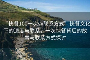 “快餐100一次vx聯(lián)系方式”快餐文化下的速度與聯(lián)系，一次快餐背后的故事與聯(lián)系方式探討
