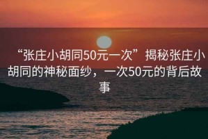 “張莊小胡同50元一次”揭秘張莊小胡同的神秘面紗，一次50元的背后故事