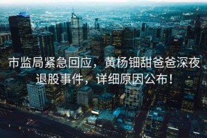 市監(jiān)局緊急回應(yīng)，黃楊鈿甜爸爸深夜退股事件，詳細原因公布！