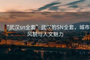 “武漢sn全套”武漢的SN全套，城市風貌與人文魅力