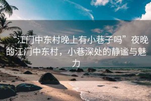 “江門中東村晚上有小巷子嗎”夜晚的江門中東村，小巷深處的靜謐與魅力