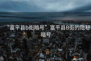 “富平縣b街暗號”富平縣B街的隱秘暗號