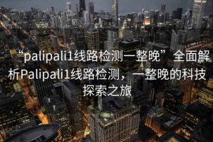 “palipali1線路檢測(cè)一整晚”全面解析Palipali1線路檢測(cè)，一整晚的科技探索之旅
