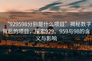 “929598分別是什么項(xiàng)目”揭秘?cái)?shù)字背后的項(xiàng)目，探索929、959與98的含義與影響