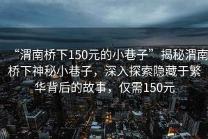 “渭南橋下150元的小巷子”揭秘渭南橋下神秘小巷子，深入探索隱藏于繁華背后的故事，僅需150元