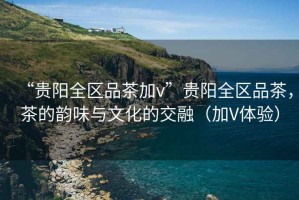 “貴陽全區(qū)品茶加v”貴陽全區(qū)品茶，茶的韻味與文化的交融（加V體驗）