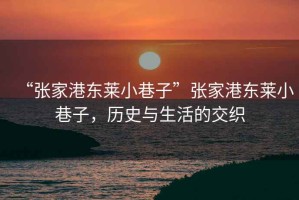 “張家港東萊小巷子”張家港東萊小巷子，歷史與生活的交織