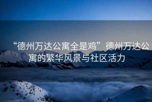 “德州萬達(dá)公寓全是雞”德州萬達(dá)公寓的繁華風(fēng)景與社區(qū)活力