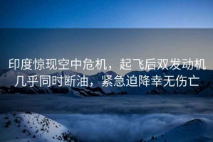 印度驚現(xiàn)空中危機(jī)，起飛后雙發(fā)動機(jī)幾乎同時斷油，緊急迫降幸無傷亡