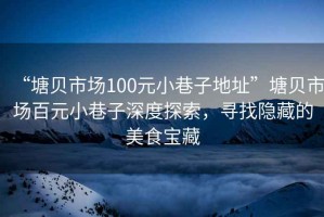“塘貝市場100元小巷子地址”塘貝市場百元小巷子深度探索，尋找隱藏的美食寶藏