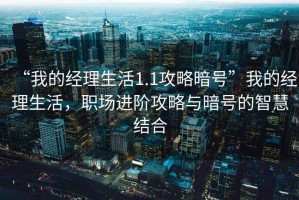 “我的經(jīng)理生活1.1攻略暗號(hào)”我的經(jīng)理生活，職場(chǎng)進(jìn)階攻略與暗號(hào)的智慧結(jié)合