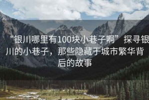 “銀川哪里有100塊小巷子啊”探尋銀川的小巷子，那些隱藏于城市繁華背后的故事