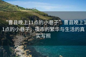 “曹縣晚上11點(diǎn)的小巷子”曹縣晚上11點(diǎn)的小巷子，夜市的繁華與生活的真實(shí)寫照