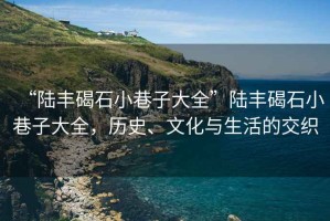 “陸豐碣石小巷子大全”陸豐碣石小巷子大全，歷史、文化與生活的交織