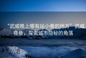 “武威晚上哪有站小巷的地方”武威夜巷，探索城市隱秘的角落