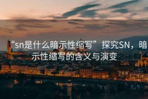 “sn是什么暗示性縮寫”探究SN，暗示性縮寫的含義與演變