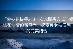 “攀枝花快餐200一次vx聯(lián)系方式”攀枝花快餐的新風(fēng)尚，探索美食與便利的完美結(jié)合
