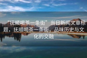 “撫順喝茶一條街”當(dāng)日新聞文章標(biāo)題，撫順喝茶一條街，品味歷史與文化的交融