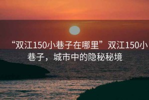 “雙江150小巷子在哪里”雙江150小巷子，城市中的隱秘秘境