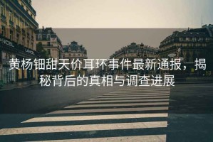 黃楊鈿甜天價耳環(huán)事件最新通報，揭秘背后的真相與調(diào)查進(jìn)展