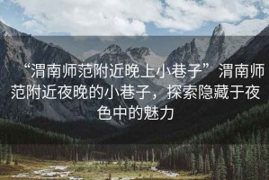 “渭南師范附近晚上小巷子”渭南師范附近夜晚的小巷子，探索隱藏于夜色中的魅力
