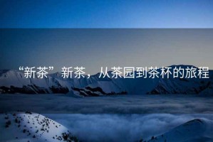 “新茶”新茶，從茶園到茶杯的旅程