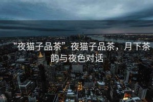 “夜貓子品茶”夜貓子品茶，月下茶韻與夜色對(duì)話