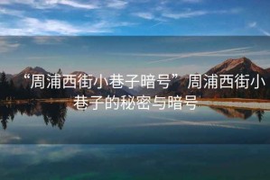 “周浦西街小巷子暗號”周浦西街小巷子的秘密與暗號