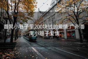 番禺小巷子里200塊錢的愛(ài)情:廣州番禺小巷子愛(ài)情