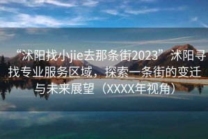 “沭陽找小jie去那條街2023”沭陽尋找專業(yè)服務(wù)區(qū)域，探索一條街的變遷與未來展望（XXXX年視角）