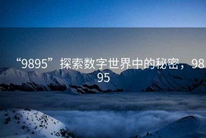 “9895”探索數(shù)字世界中的秘密，9895